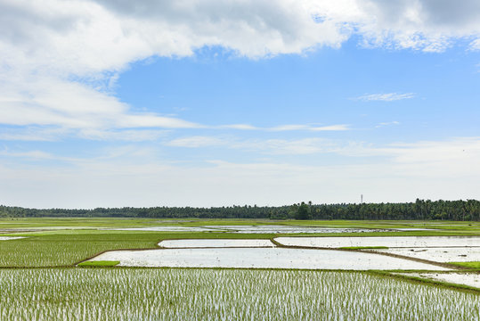 Beautiful landscape of Rural India