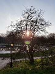 Poranek w parku © michalsen