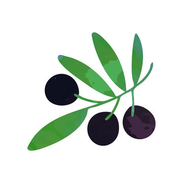 Decorative branch with black ripe olives and green foliage. Natural and healthy food concept. Isolated flat vector design element for book illustration, agriculture company logo or oil label