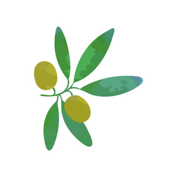 Clipart of branch with green olives and leaves. Traditional symbol of peace. Organic food concept. Design element for restaurant menu, card or product label. Isolated flat vector illustration