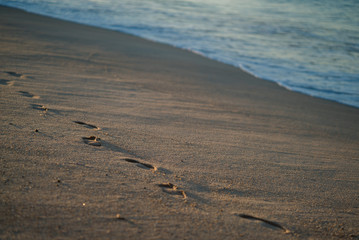 Fototapeta na wymiar Footsteps in sand on a beach in portugal at sunrise