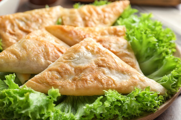Plate with delicious samosas, closeup
