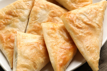 Plate with delicious samosas, closeup
