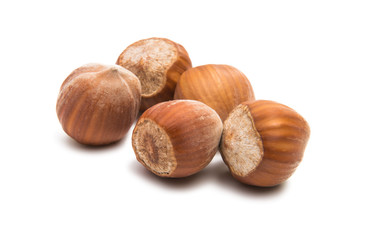 hazelnut nuts isolated