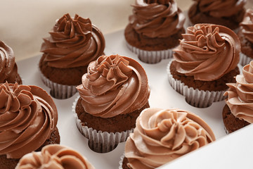 Delicious chocolate cupcakes in cardboard box