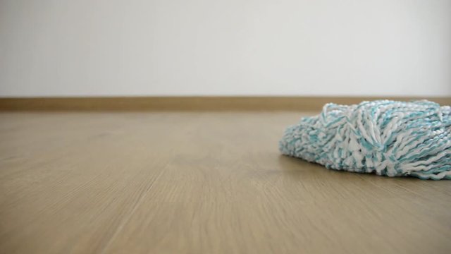 the parquet cleaning