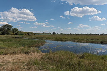 Linyanti river and marshes, Namibia