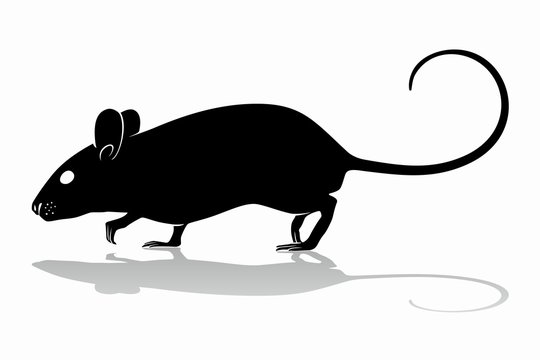 mouse silhouette, vector draw