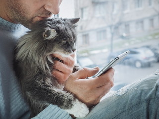 Young man sits on the windowsill, holds a beautiful, fluffy kitten on his lap and reads news on his...