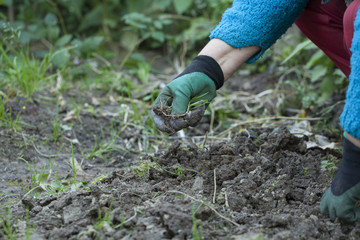 Naklejka premium weeding garden gloves with claws