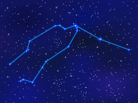 Aquarium Constellation