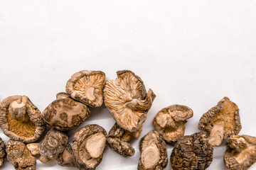 Dry Mushrooms isolated on white background.