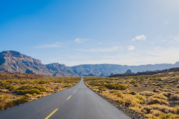 straight empty highway road in desert valley landscape  and mountains background ,