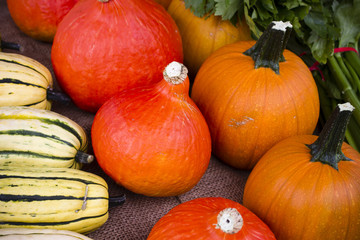 Penticton Organic Farmer's Market Okanagan Valley