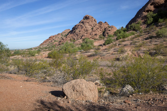 The vibrant desert landscape in Arizona