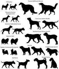 Collection of silhouettes of different breeds of dogs
