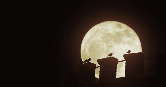 Birds on the edge of a water tower under a super moon. Highly cinematic shot suitable for establishing many different kinds of residential areas at night.