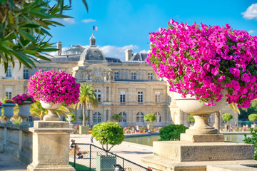 Obraz premium Ogród Luksemburski i Pałac w Paryżu