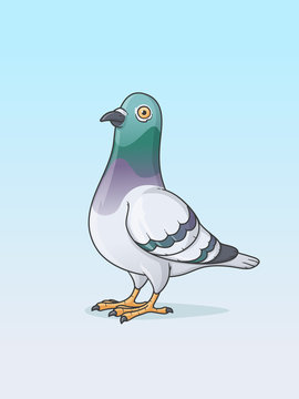 Pigeon bird cartoon vector illustration