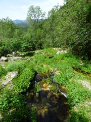 Nacimiento Rio Mundo de Riopar, Albacete.El Parque natural de los Calares del Mundo y de la Sima en Castilla-La Mancha (España)