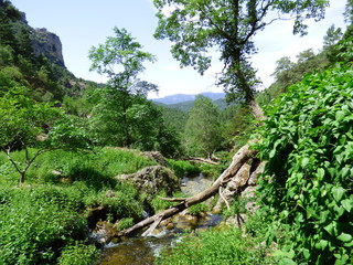 Nacimiento Rio Mundo de Riopar, Albacete.El Parque natural de los Calares del Mundo y de la Sima en...