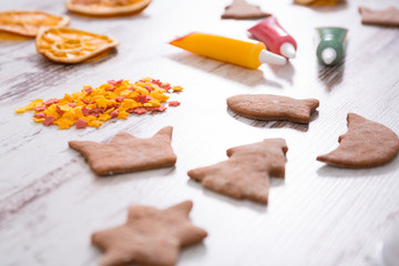 Gingerbread cookies with icing decorations for Christmas