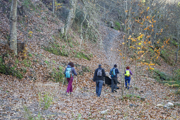 Obraz premium Senderístas / Hikers. Castañar de Parauta. Málaga