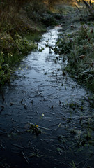 Frozen stream