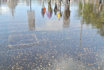 reflected on wet floor 