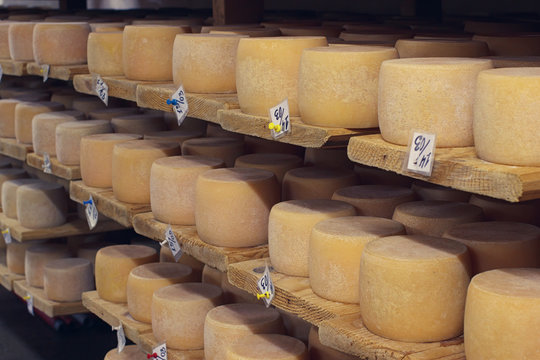 Aging cheese in cellar of production farm