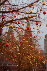 Christmas decorated tree