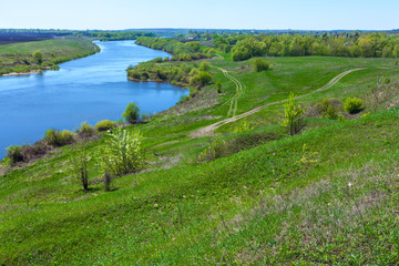A dirt road leading from the forest to the village, in the field opposite the river. Spring and summer landscape in Russia.