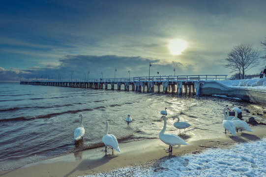 GDYNIA - KILIF ORŁOWSKI