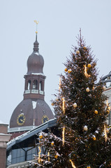 Christmas tree on a Dome Square, Riga
