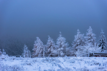 Beautiful winter landscape with snow covered trees