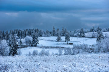 Trees covered with hoarfrost and snow in mountains