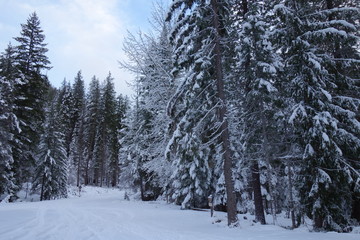 Exploring the Pacific Northwest, Washington State