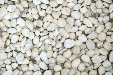 Stone in garden