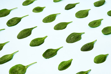 spinach leaves in isometric