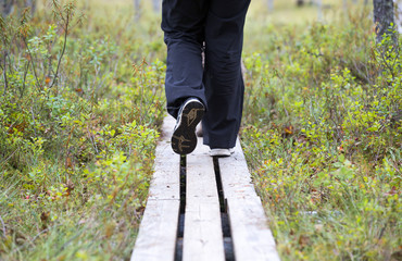 Person walking the duckboards in the Finnish forest, swamp area. 