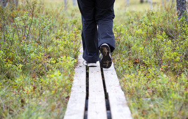 Obraz premium Person walking the duckboards in the Finnish forest, swamp area. 