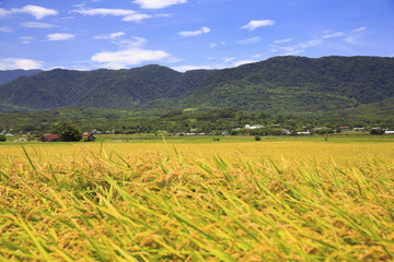 beauty in Taiwan