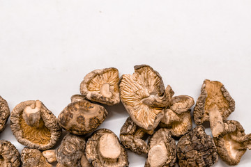 Dry Mushrooms isolated on white background.