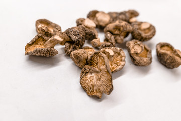 Dry Mushrooms isolated on white background.