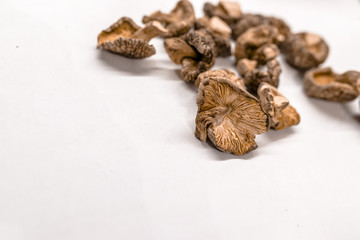 Dry Mushrooms isolated on white background.