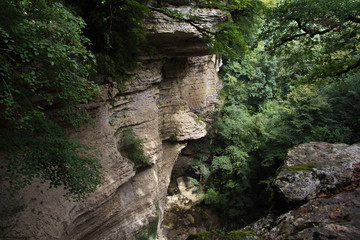 Gorge of the mountain river in the Caucasian forest, green moss