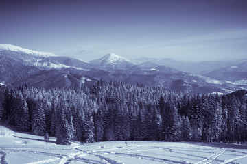 Winter Nature snowy landscape outdoor background.