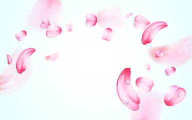 Pink sakura fresh falling petals with drops of water, dew with blur effect. Vector background. 3D realistic detailed romantic illustration.