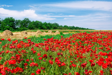 Beautiful countryside landscape .