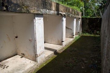 ruin of war bunker in the jungle of zanzibar